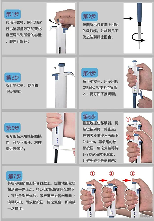 用移液枪转移液体