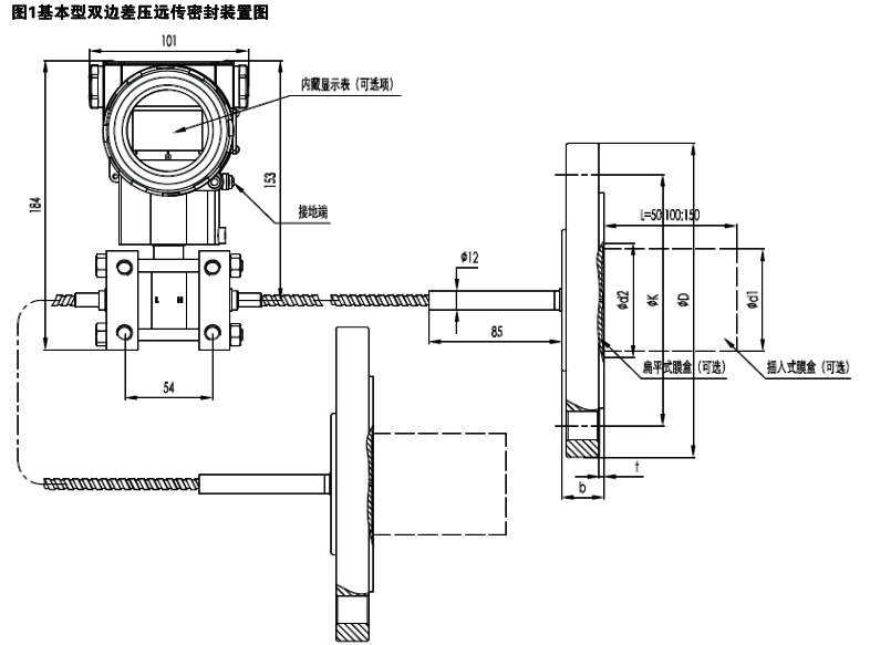 双法兰差压变送器结构示意图