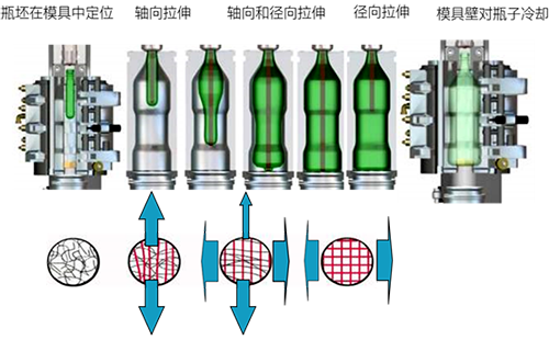 PET瓶的吹制过程中的机械拉伸动作分解